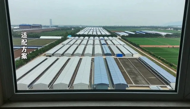 徐州微酷网络科技有限公司展示器等服务应用成果